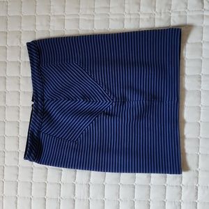 Ann Taylor Skirt